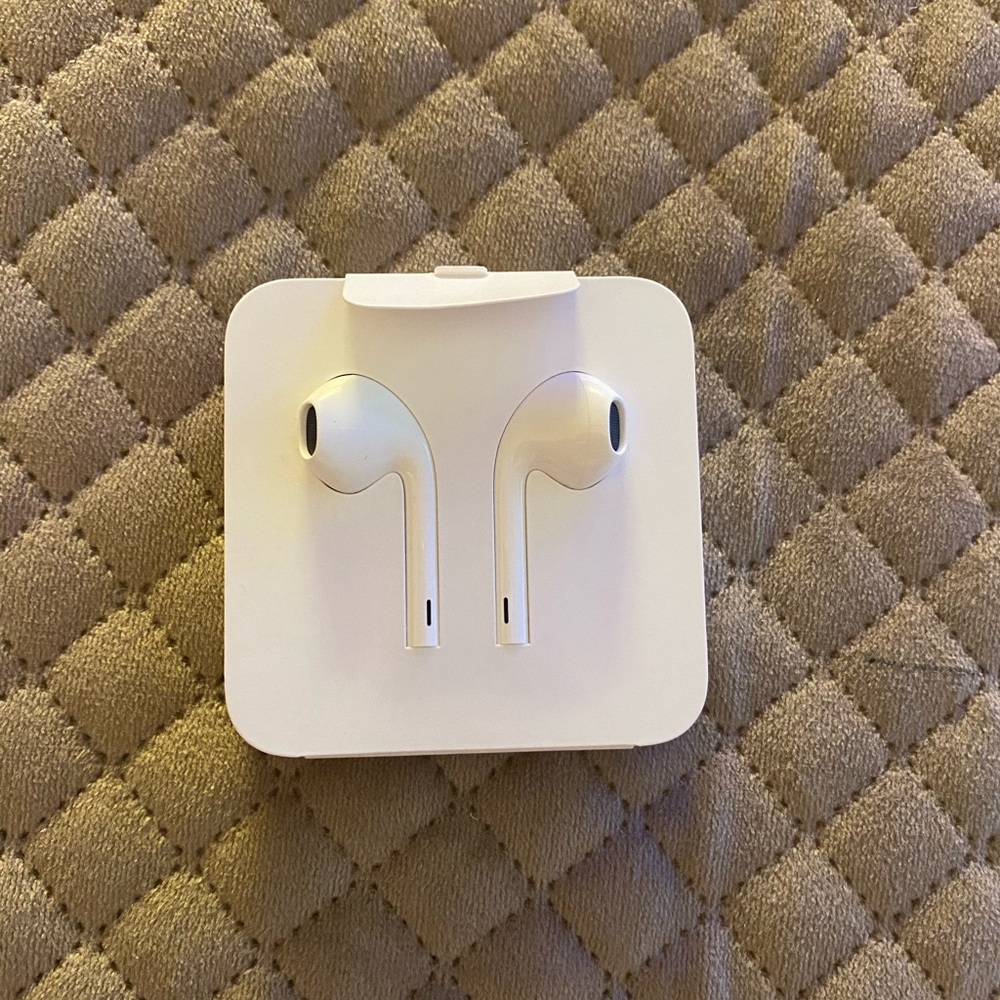 Apple earphones